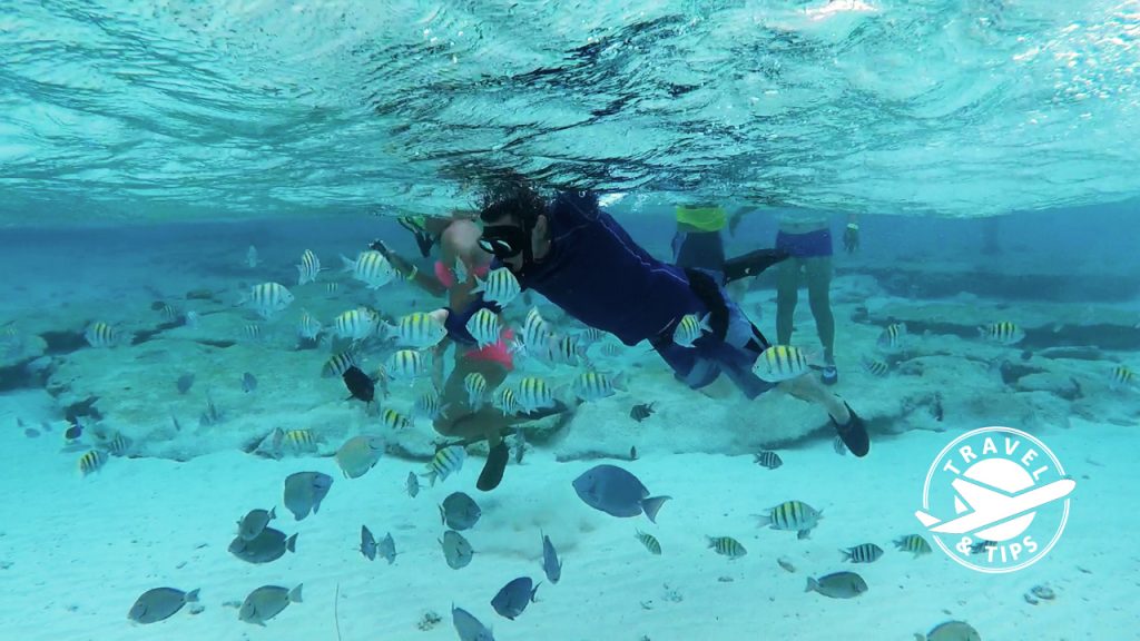 Puedes alimentar a los peces en el acuario de san andres