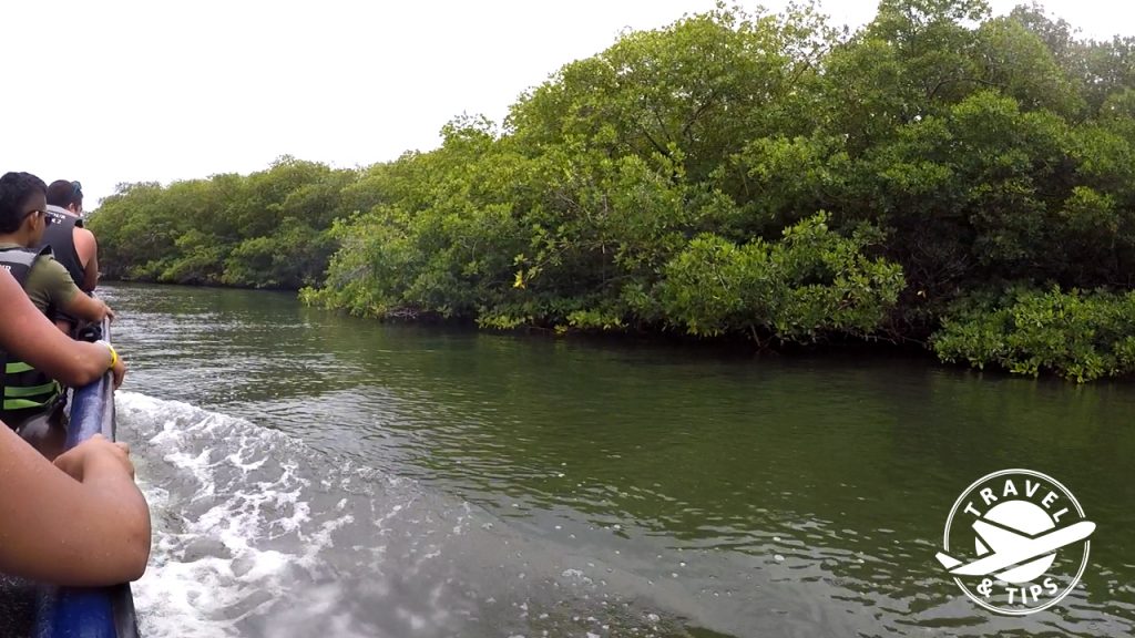 Zona de manglares en San Andres