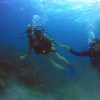 diving in san andres island